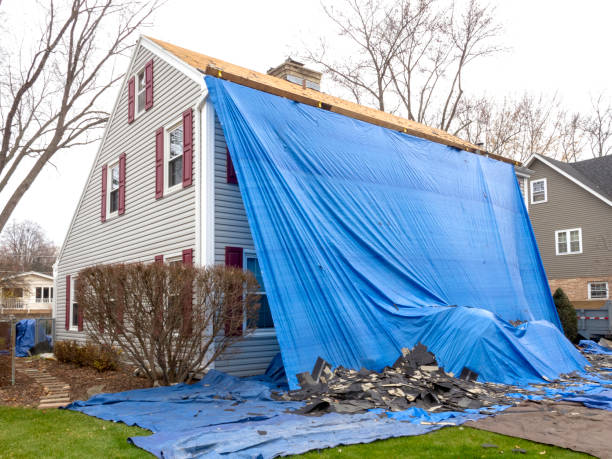 Best Vinyl Siding Installation  in Grand Bay, AL